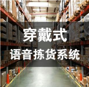 语音拣选系统